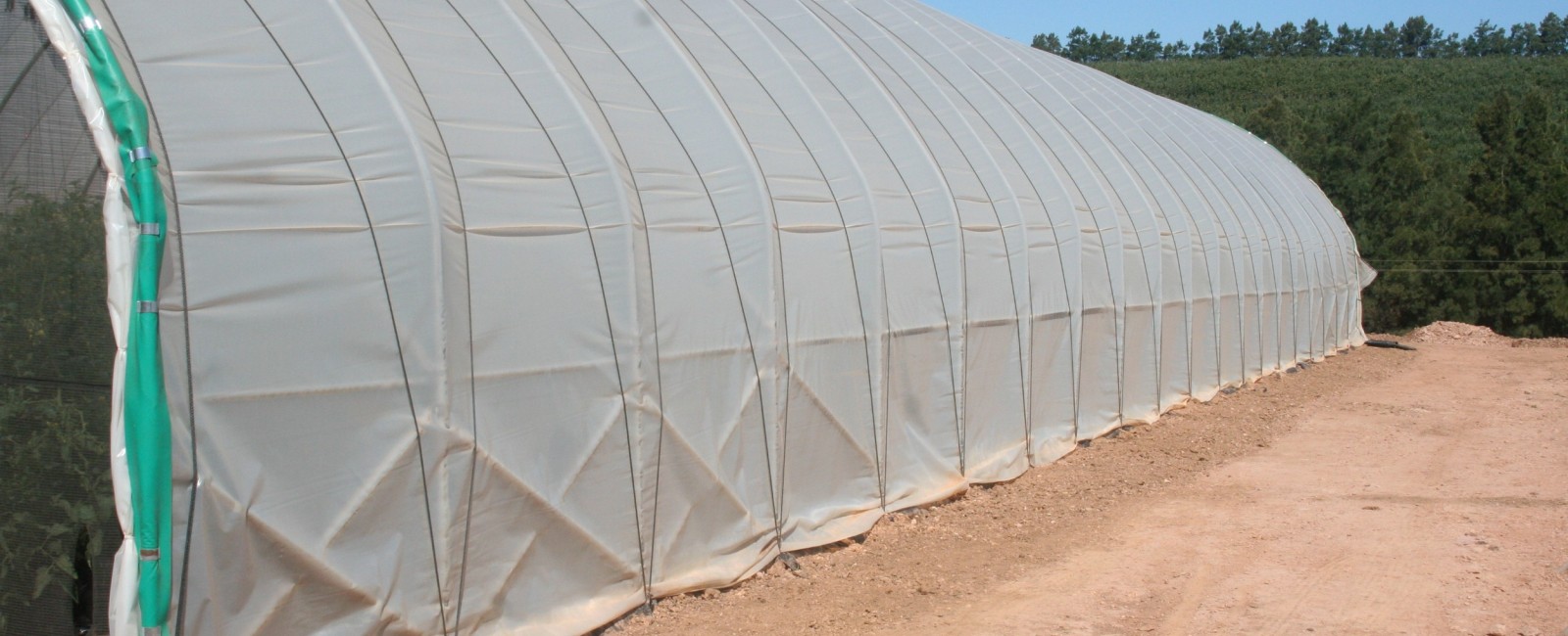 Haygrove Polythene 